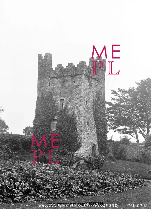 : Walshestown Castle, Strangford : Walshestown Castle, Strangford