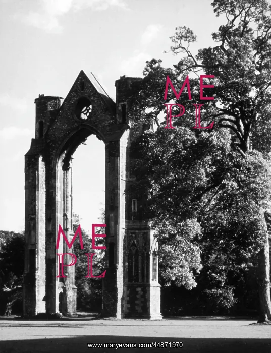 : WALSINGHAM PRIORY : WALSINGHAM PRIORY