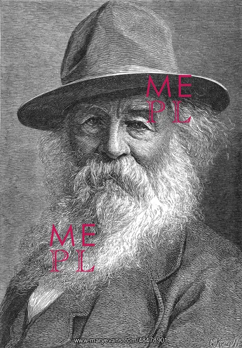  : Walt Whitman (1819-1891)