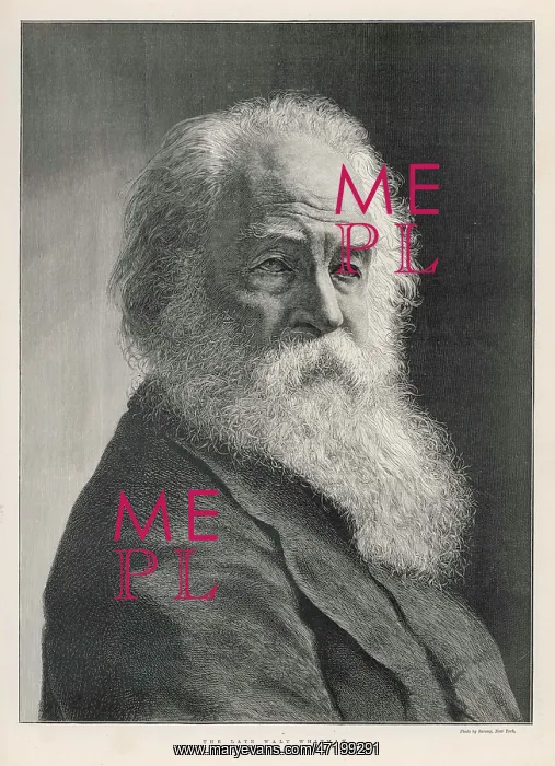 : WALT WHITMAN : WALT WHITMAN