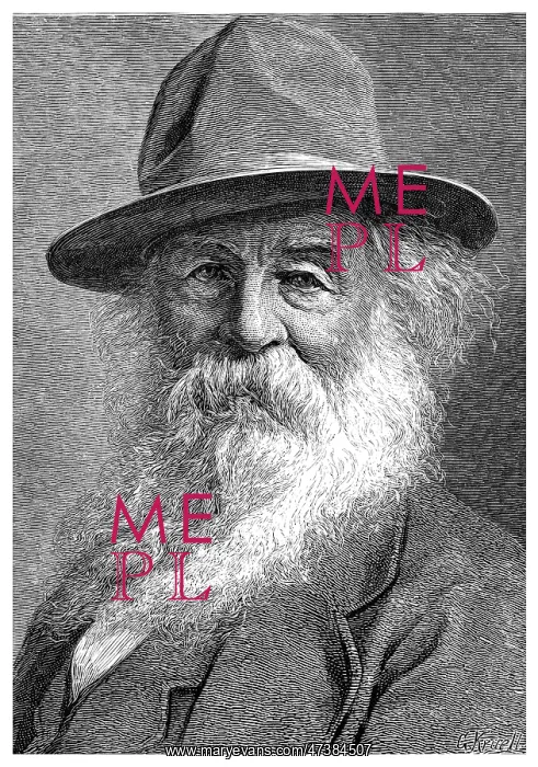  : WALT WHITMAN