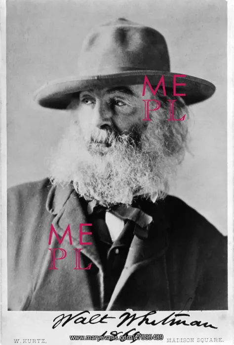 : Walt Whitman, American Poet : Walt Whitman, American Poet