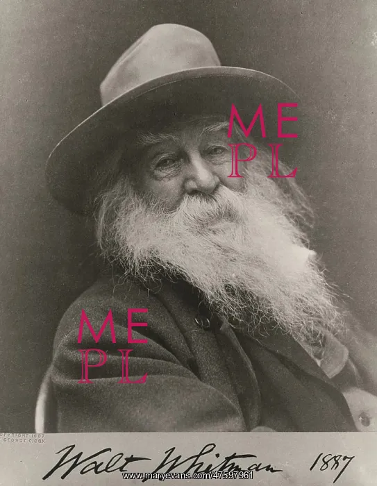 : Walt Whitman, American Poet : Walt Whitman, American Poet