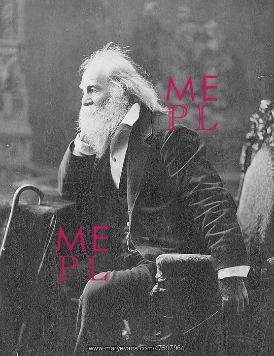: Walt Whitman, American Poet : Walt Whitman, American Poet