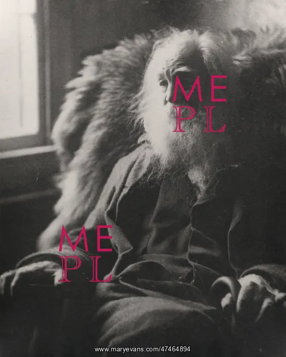 : Walt Whitman, half-length portrait, seated by window, facing : Walt Whitman, half-length portrait, seated by window, facing