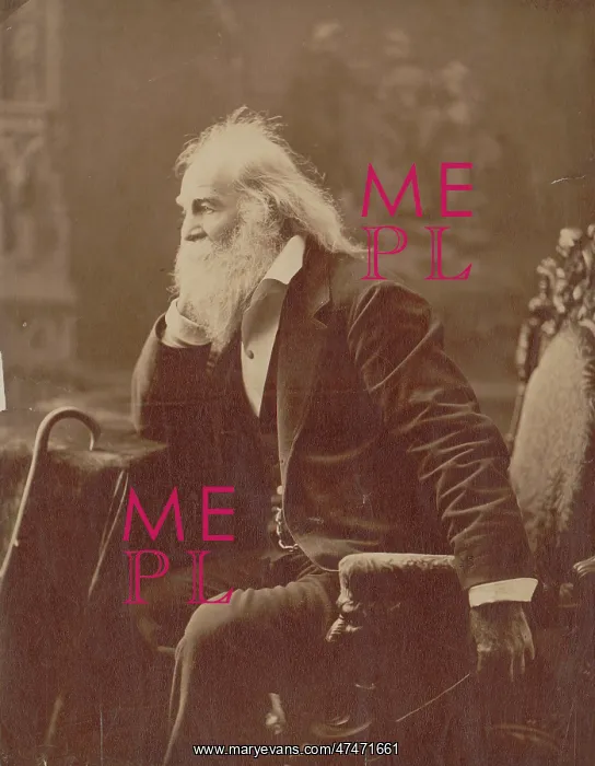 : Walt Whitman, three-quarter-length portrait, seated, facing : Walt Whitman, three-quarter-length portrait, seated, facing