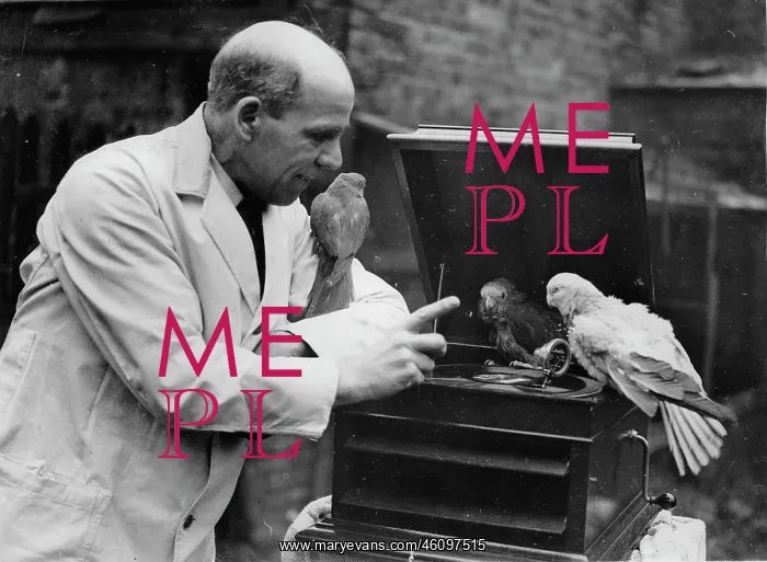: Walter Holbrook learns parrots talk : Walter Holbrook learns parrots talk