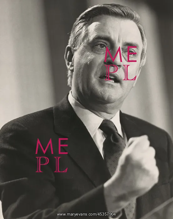 : Walter Mondale at the Democratic National Convention : Walter Mondale at the Democratic National Convention