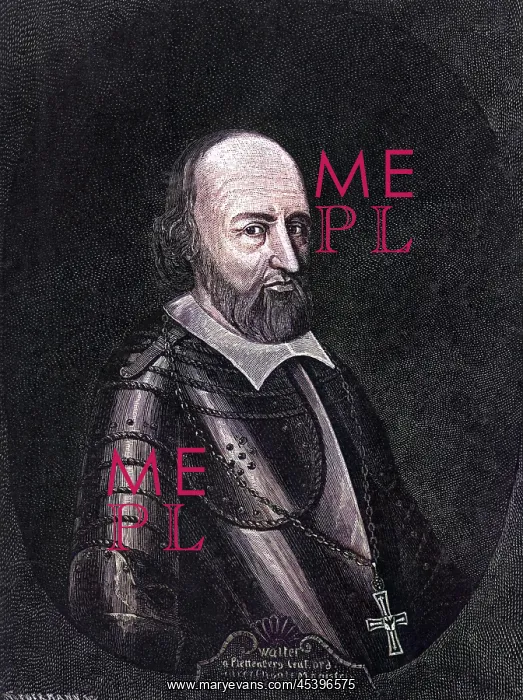 : WALTER VON PLETTENBERG : WALTER VON PLETTENBERG