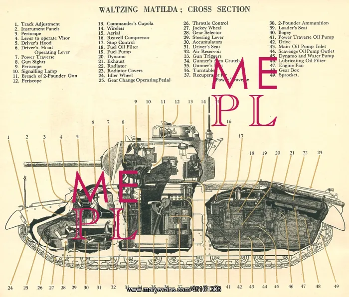 : Waltzing Matilda Cross Section : Waltzing Matilda Cross Section