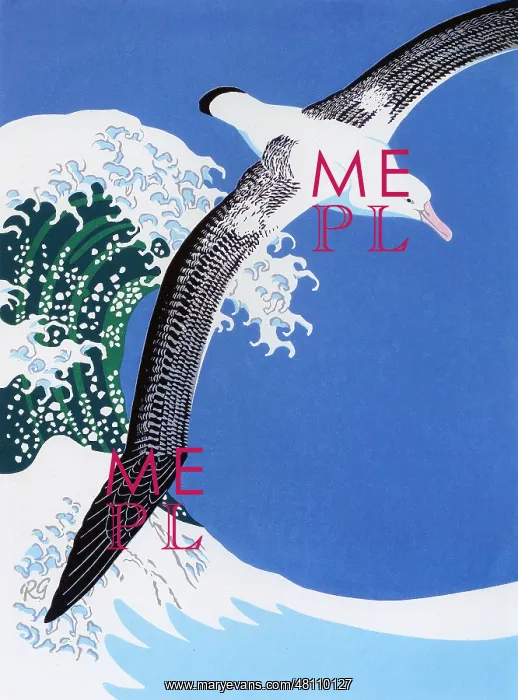 : Wandering Albatross by Robert Gillmor : Wandering Albatross by Robert Gillmor