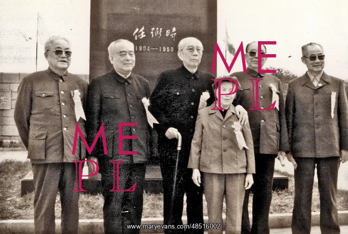 : Wang Zhen, Chen Congying, and Others : Wang Zhen, Chen Congying, and Others