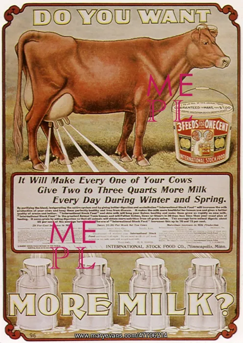  : Do You Want More Milk?