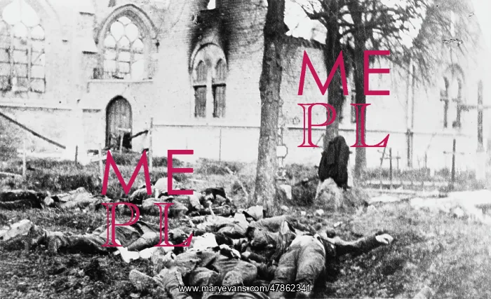  : War casualties WWI