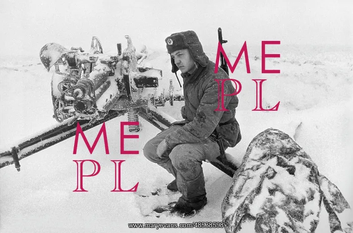 : War in Chechnya, 1994 : War in Chechnya, 1994