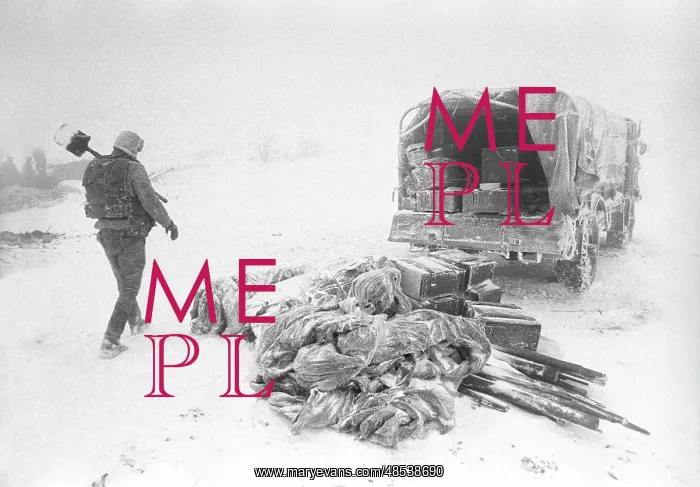  : War in Chechnya, 1994