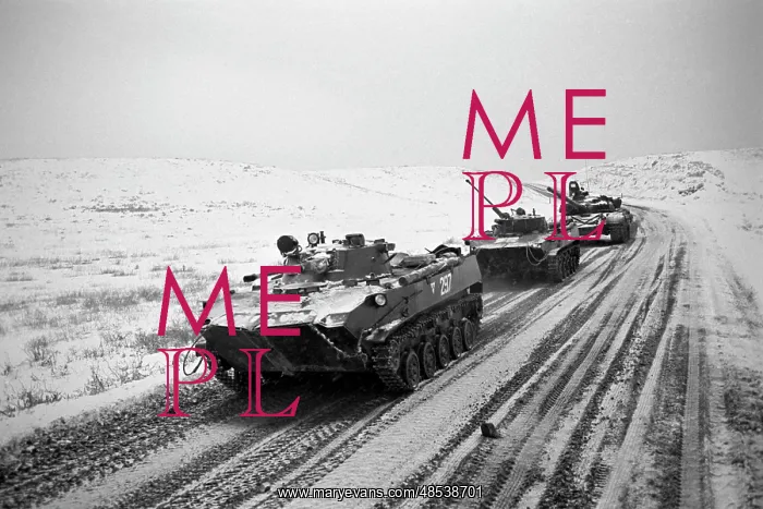 : War in Chechnya, 1994 : War in Chechnya, 1994
