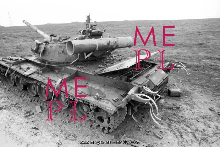 : War in Chechnya, 1994 : War in Chechnya, 1994