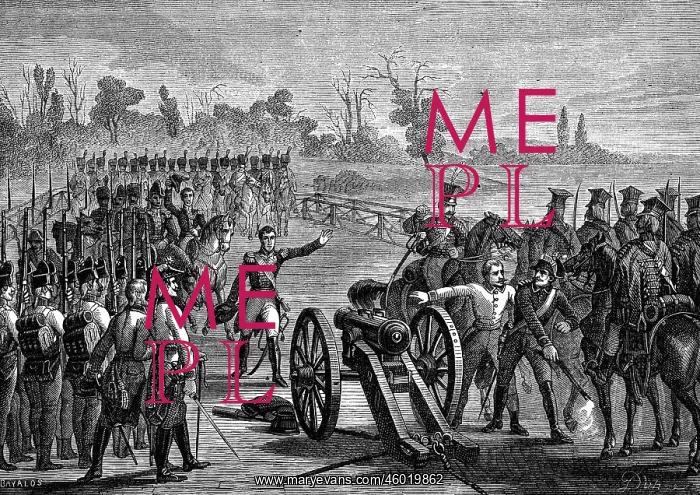 : War of the Third Coalition 1805, French capture : War of the Third Coalition 1805, French capture