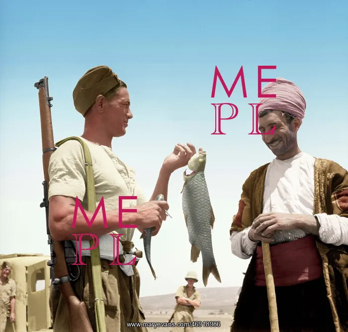  : War Cry in Colour