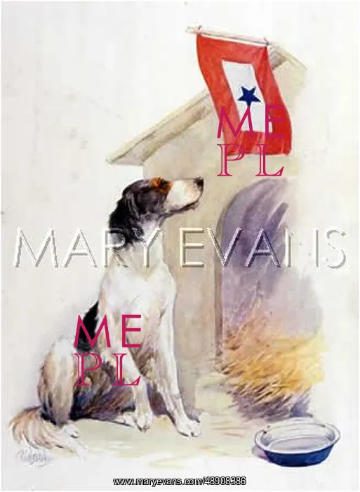 : WAR DOG'S MOTHER : WAR DOG'S MOTHER