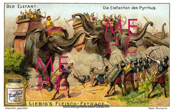 : War elephants : War elephants