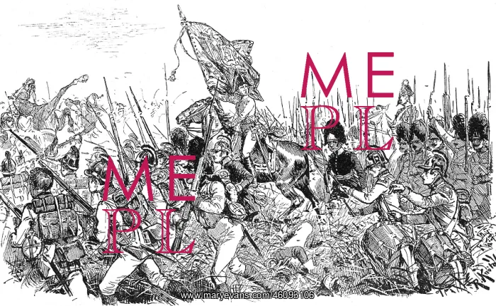 : War of the Fifth Coalition 1809 : War of the Fifth Coalition 1809