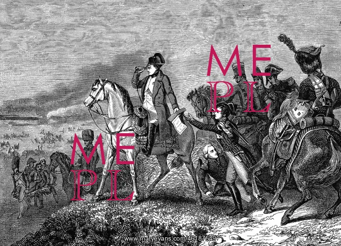 : War of the Fifth Coalition 1809, Battle of Wagram : War of the Fifth Coalition 1809, Battle of Wagram