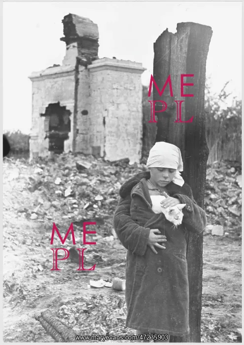 : WAR ORPHAN AND CAT : WAR ORPHAN AND CAT