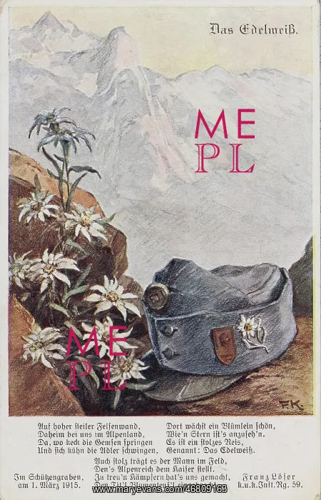 : War propaganda postcard : War propaganda postcard