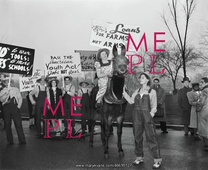 : War - Protest - Politics - Signs : War - Protest - Politics - Signs