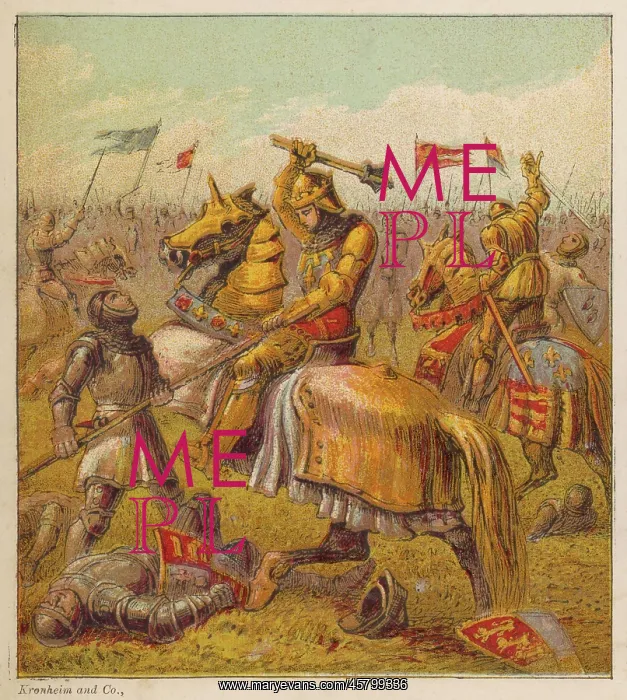 : WAR OF THE ROSES : WAR OF THE ROSES