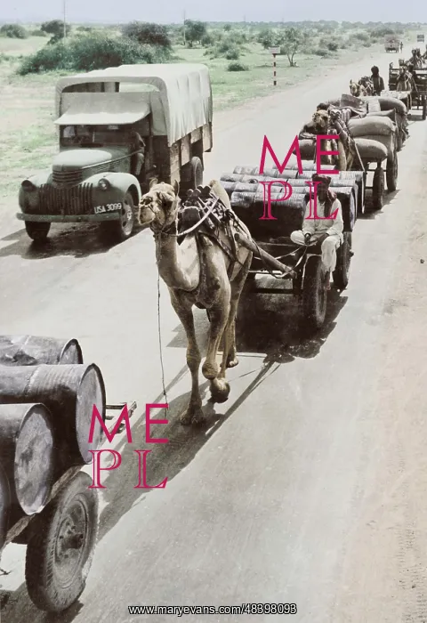 : War supplies are transported by camels on : War supplies are transported by camels on