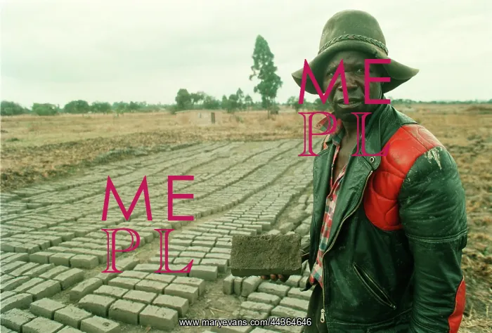 : War veteran on redistributed formely white owned farmland : War veteran on redistributed formely white owned farmland