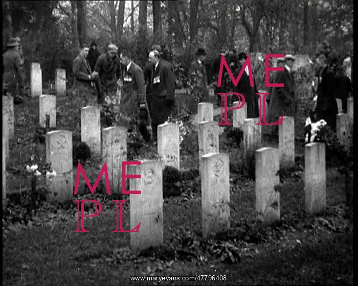 : War Veterans Visit the Graces in a War Cemetery : War Veterans Visit the Graces in a War Cemetery
