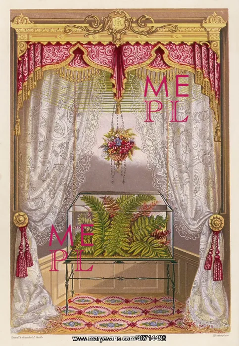 : Wardian case containing ferns, in a window : Wardian case containing ferns, in a window