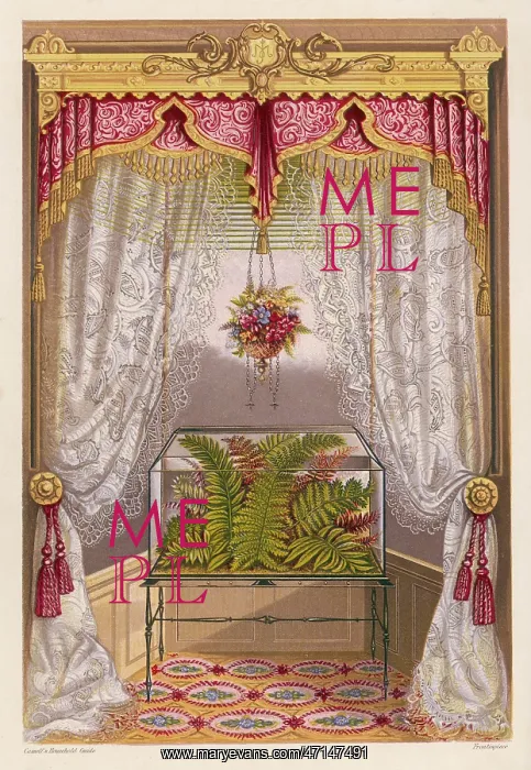 : Wardian case containing ferns, in a window : Wardian case containing ferns, in a window