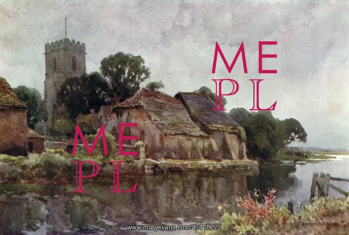 : WAREHAM, DORSET : WAREHAM, DORSET