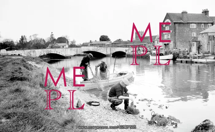 : Wareham, Salmon Fishing 1957