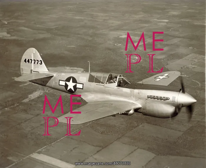 : The last Warhawk to be built by the Curtiss-Wright Corp : The last Warhawk to be built by the Curtiss-Wright Corp