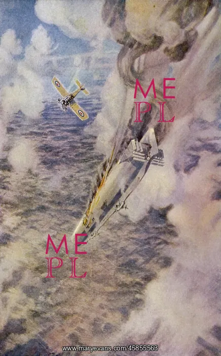 : WARNEFORD SHOOTS ZEP : WARNEFORD SHOOTS ZEP