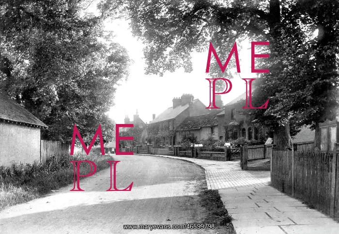  : Warnham, the Village 1907