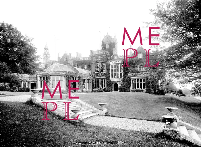  : Warnham, Warnham Court 1924