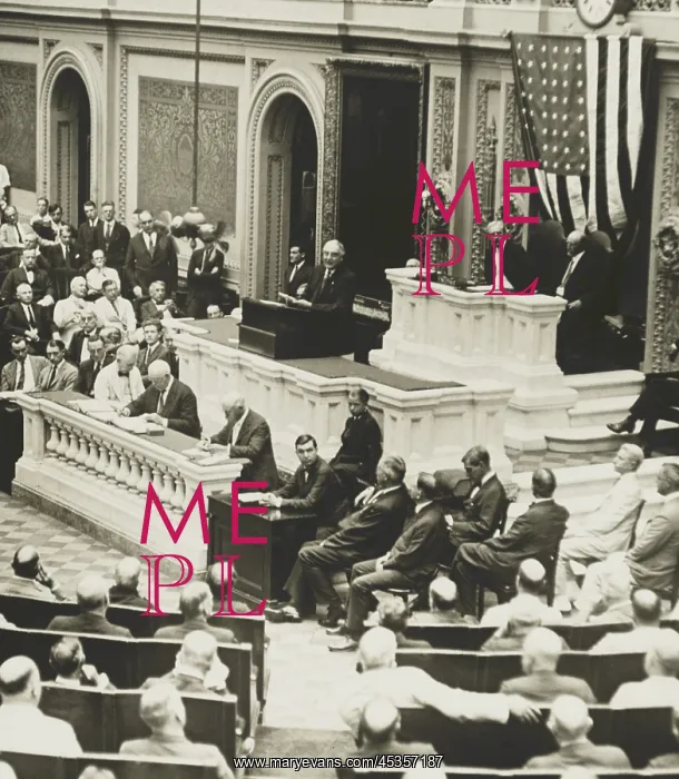: Warren Harding speaking in the House of Representatives : Warren Harding speaking in the House of Representatives