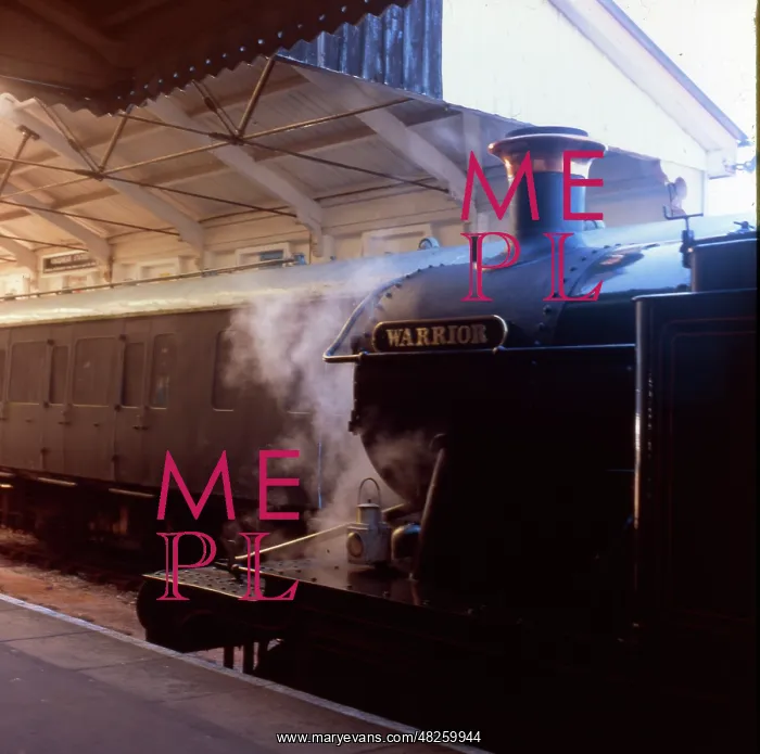  : Warrior steam at Kingswear, Devon