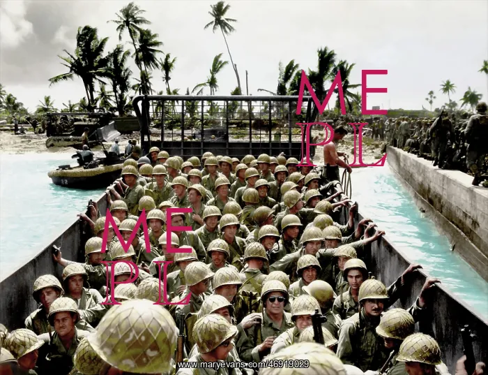 : Warships in Colour : Warships in Colour