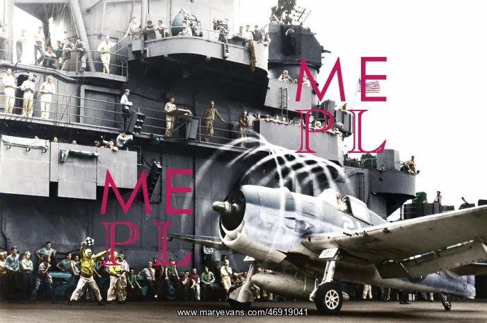 : Warships in Colour : Warships in Colour