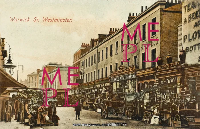 : Warwick Way, Pimlico, London : Warwick Way, Pimlico, London