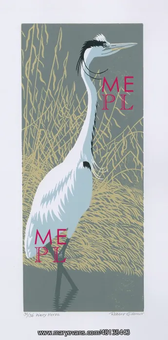 : Wary Heron : Wary Heron
