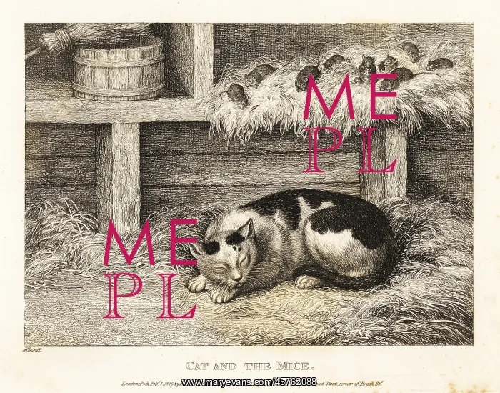 : Wary mice above a cat pretending to sleep : Wary mice above a cat pretending to sleep